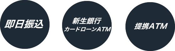 レイクALSAの融資方法