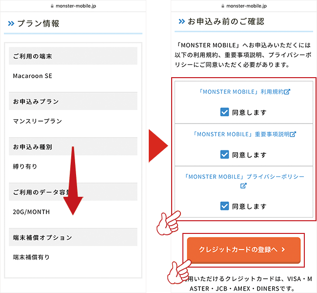 入力内容を確認し、利用規約に同意をする
