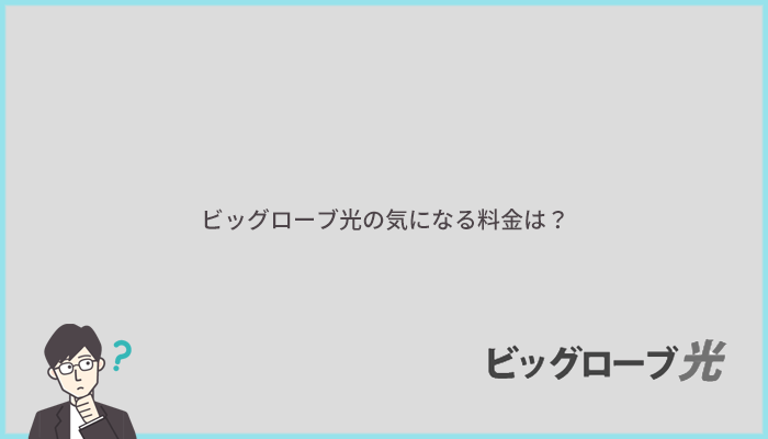 ビッグローブ光の料金