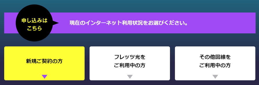 公式サイトの申し込みフォームに必要事項を入力する