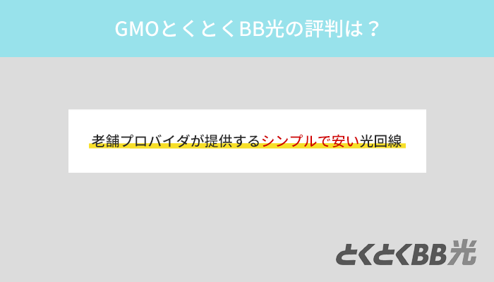 GMOとくとくBB光は最安級の光回線でプロバイダの信頼が厚い