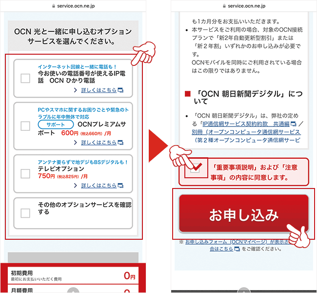 オプションの選択をし、同意ボタンにチェックマークを入れる